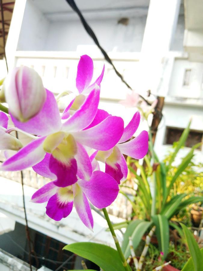 Homestay Heather Kochi